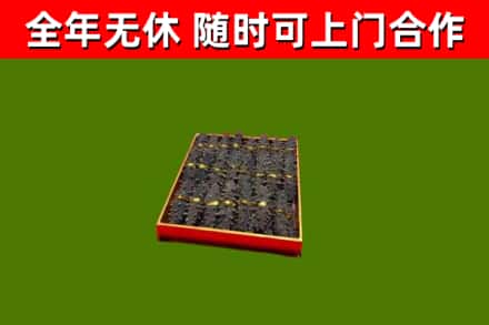 东光县回收海参